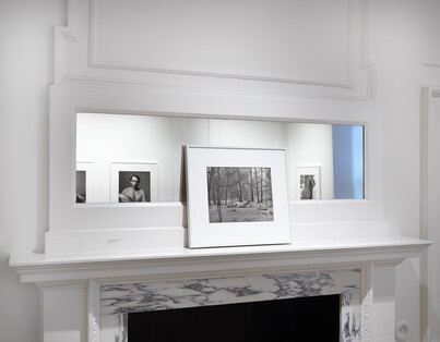 Fig. 4 image